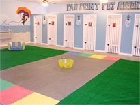 indoor pet play area